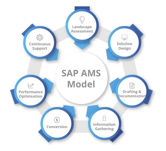 SAP AMS